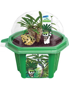 Kit de Terrario de Palma Mini Toys by Nature con Suministros 2