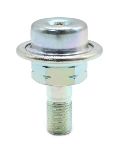 Amortiguador de Presión de Inyección de Combustible Aynaxcol