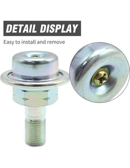 Amortiguador de Presión de Inyección de Combustible Aynaxcol