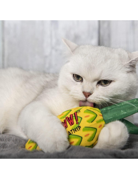 Juguete para Gatos Yeowww! Piña Catnip 17.78 cm Orgánico