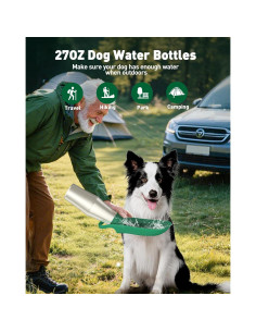 Botella de Agua para Perros PETNF 0.8L Acero Inoxidable Verde 2