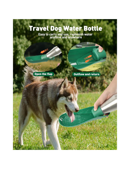 Botella de Agua para Perros PETNF 0.8L Acero Inoxidable Verde