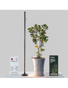 Luz de Crecimiento LED Oizuon 36W 164cm con Temporizador y Control Remoto 2