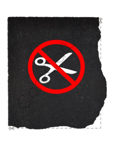 Paquete de 4 Prefiltros de Carbón Activado CoreCarbon para Honeywell HPA030