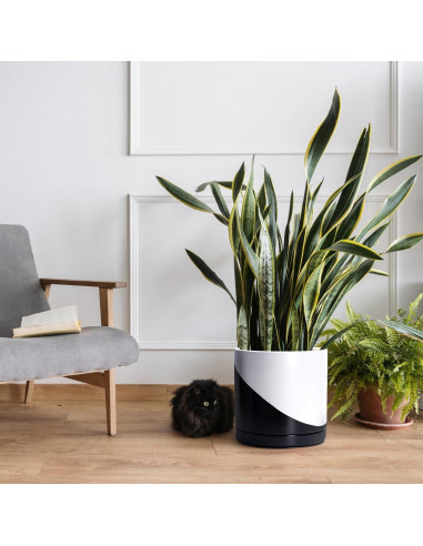 Maceta de Cerámica D'vine Dev 30 cm Redonda con Plato y Drenaje