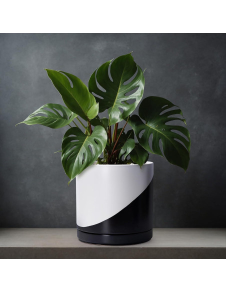 Maceta de Cerámica D'vine Dev 30 cm Redonda con Plato y Drenaje