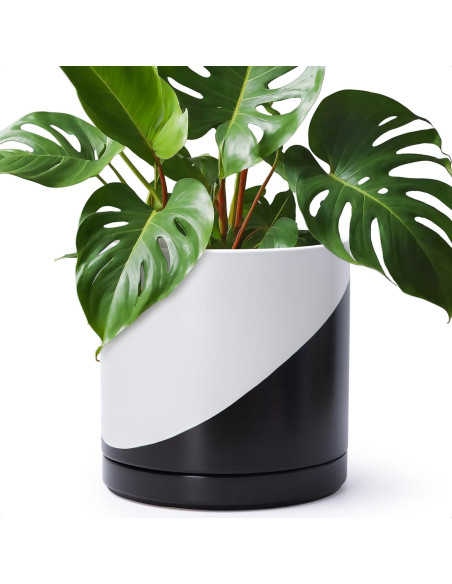 Maceta de Cerámica D'vine Dev 30 cm Redonda con Plato y Drenaje