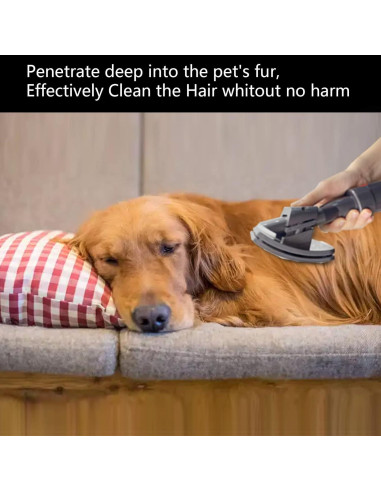 Kit de Aseo para Mascotas TEPULAS 4 Piezas para Dyson V7 V8 V10 V11 V15