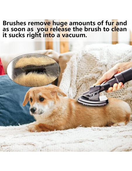 Kit de Aseo para Mascotas TEPULAS 4 Piezas para Dyson V7 V8 V10 V11 V15