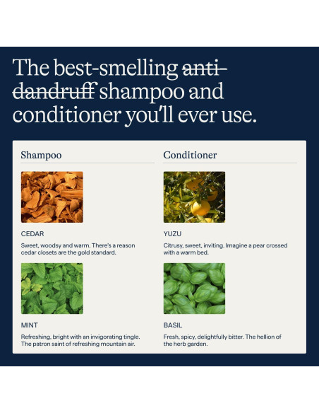 Juego de Champú y Acondicionador Anti Caspa Flakes 266 ml