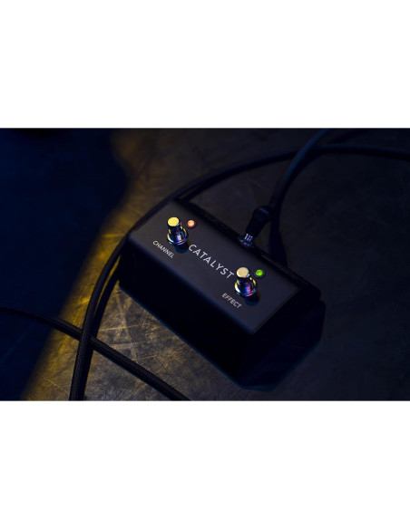 Interruptor de pie Line 6 LFS2 2 botones metálico negro