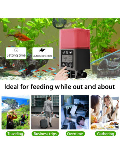 Comedero Automático para Peces ZWJBSGY 320ML LCD Rojo 2