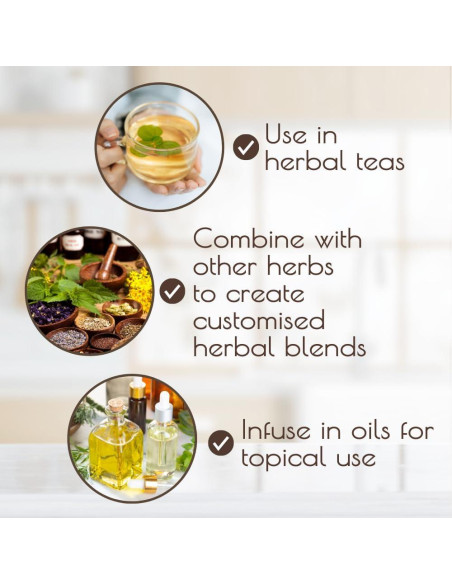 Shatavari Orgánica Darsa - 113 g, Raíz de Espárrago Racemoso Shatavari Orgánica Darsa - 113 g, Raíz de Espárrago Racemoso