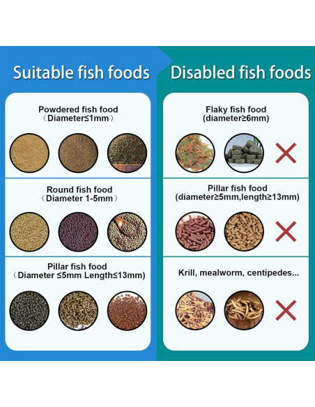 Comedero Automático para Peces BEUTFQL con Cámara HD 2K