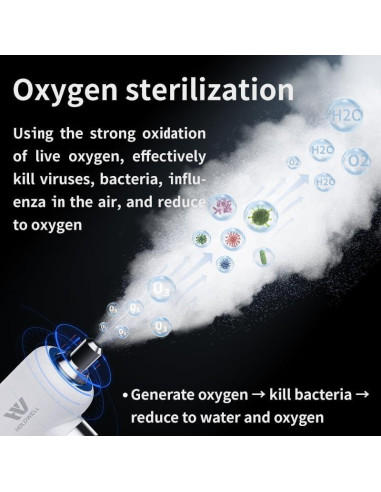 Máquina Nebulizadora Desinfectante de Ozono HOLDWELL HW-09