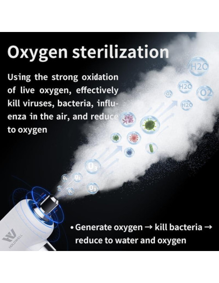 Máquina Nebulizadora Desinfectante de Ozono HOLDWELL HW-09