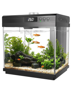 AQQA Kit Acuario 14 L con Filtro y Luz LED 7 Colores
