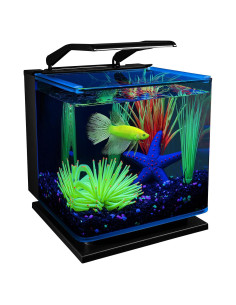 Kit Acuario GloFish Betta 11.36L con LED y Filtro Tetra