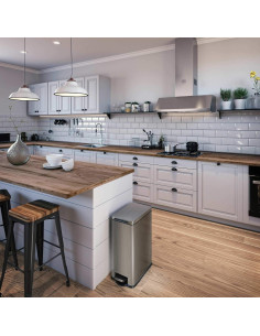 Bote de Basura Slim Home Zone Living 30L Acero Inoxidable Plata 2