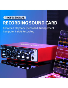 Interfaz de Audio USB Depusheng 24 bit/192 kHz con Phantom 48V 2