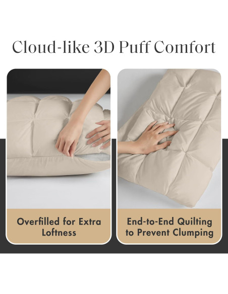 Funda de Almohada Estándar Madison Park Stay Puffed Beige