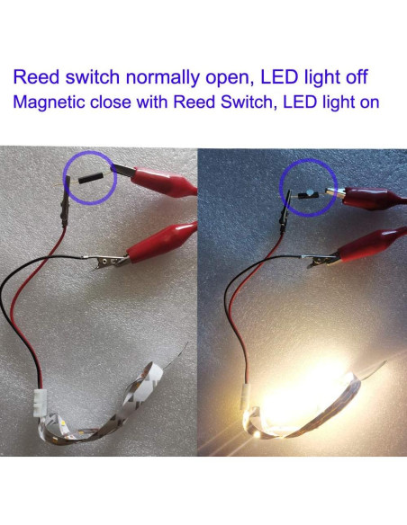 10 Interruptores Reed Gebildet N/O 14mm x 2.5mm con Imán