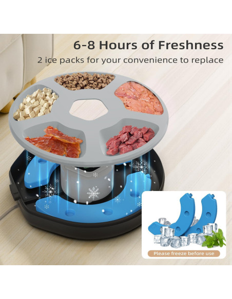 Dispensador Automático de Comida ITSCUTE para Mascotas 5 Comidas
