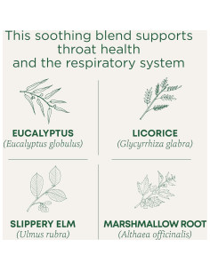 Té Eucalipto Orgánico Tradicional para Garganta 16 Bolsitas 2