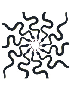 Juguete de Serpiente Falsa Realista HOHAJIU 10 PCS 24 cm