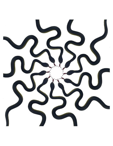 Juguete de Serpiente Falsa Realista HOHAJIU 10 PCS 24 cm