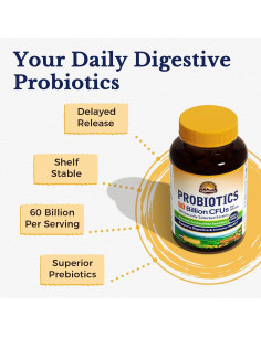 Vitalitown Probioticos + Prebioticos 60 Mil Millones 60 Capsulas 2