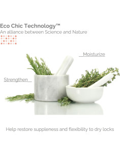 Champú Hidratante Aclarador Giovanni Eco Chic 240 ml 2