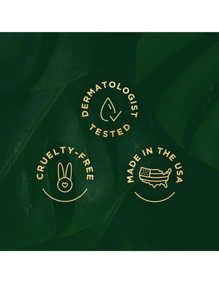 Conjunto Cuidado Piel Tree of Life - Suero, Gel y Crema Vitamina C Conjunto Cuidado Piel Tree of Life - Suero, Gel y Crema Vitamina C