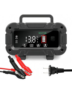 Cargador de Batería Inteligente 12V/24V 20A Genérico 2