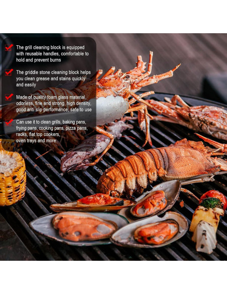 Kacctyen 16 Piezas Piedras Pumice con Mangos para Limpieza