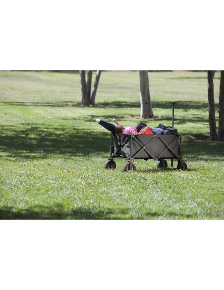 Carro Plegable de Aventura Picnic Time 90.4x48.0x55.2cm Gris