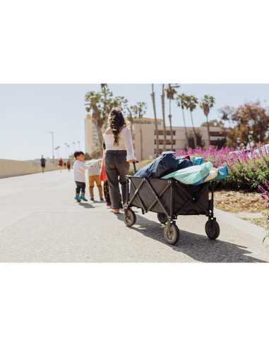 Carro Plegable de Aventura Picnic Time 90.4x48.0x55.2cm Gris