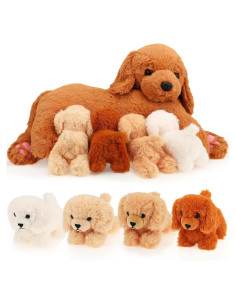 Conjunto de Peluches Golden Retriever HyDren 5 Piezas 40 cm