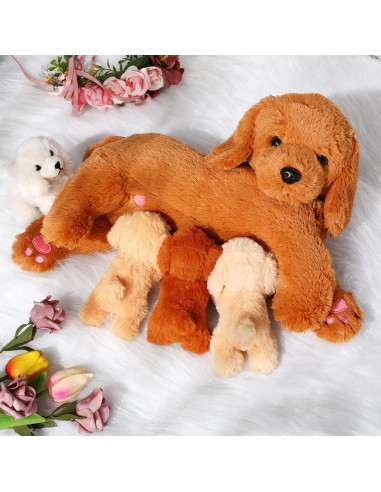 Conjunto de Peluches Golden Retriever HyDren 5 Piezas 40 cm