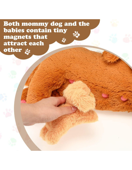 Conjunto de Peluches Golden Retriever HyDren 5 Piezas 40 cm