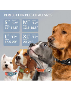 Collar para Perro Airtag CollarDirect Nylon Neopreno 30-37 cm Negro 2