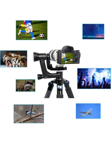 Cabezal de Cardán SIRUI PH-10 de Fibra de Carbono 0.98kg