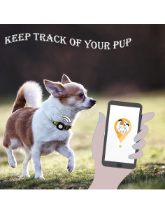 Soporte para Collar de Perro Bobo Rainbow - 2 Albaricoque 2