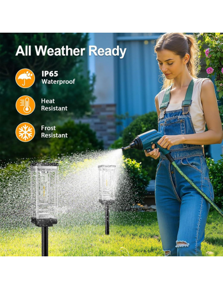 Paquete de 6 Luces Solares para Jardín Ahaorigin 67cm