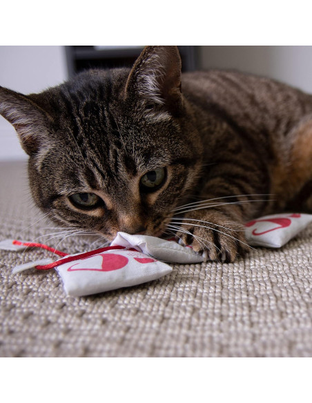 Juguetes para Gato Petlinks Tea Zing - Set de 3 con Hierba Gatera