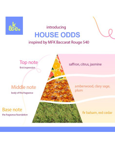 Paquete de 2 Enchufes de Fragancia Klone & Co - House Odds - Aroma MFK Baccarat 540 2