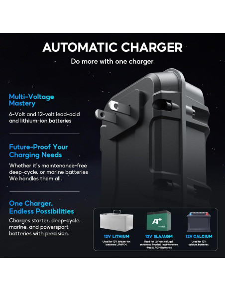 Cargador de Batería Inteligente 2A Zrfmib 6V/12V Mantenedor Automático