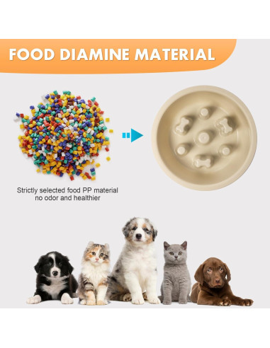 Tazón de Alimentación Lenta Jestrem con Base Antideslizante 3 en 1