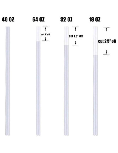 Paquete de 10 Pajitas Reemplazo Hydro Flask 24.13 cm Libre BPA