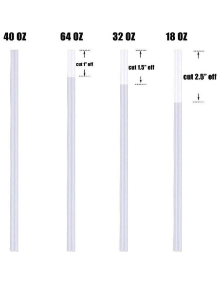 Paquete de 10 Pajitas Reemplazo Hydro Flask 24.13 cm Libre BPA